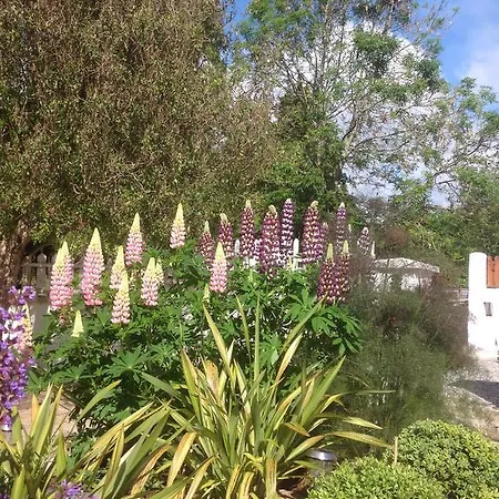 בית נופש Bridge House *