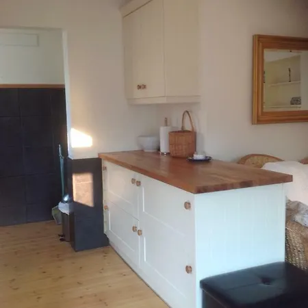 Bridge House Studios Tatil Evi Killaloe